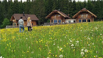 Ferienhaus in Tamsweg - Ferienchalets Weissenbacher