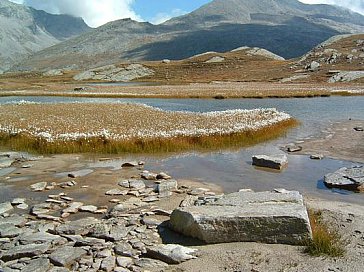 Ferienwohnung in Saas-Almagell - Die wunderschöne Walliser Bergwelt