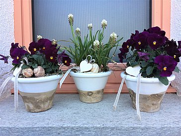 Ferienwohnung in Scuol - Reichliche Blumendeko ums Haus