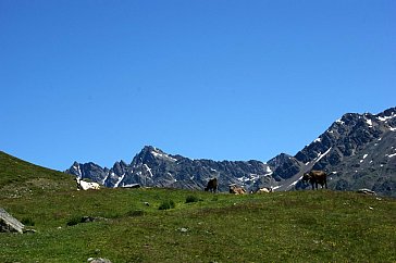 Ferienwohnung in Planeil - Blick von der Furgles Alm ins hinterer Planeiltal