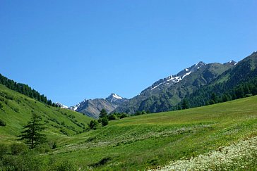 Ferienwohnung in Planeil - Planeiltal