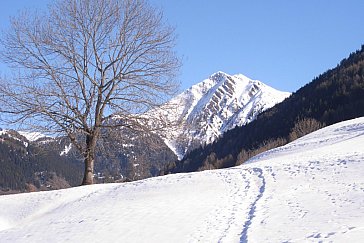 Ferienwohnung in Grengiols - Ausblick Bächerhäusern