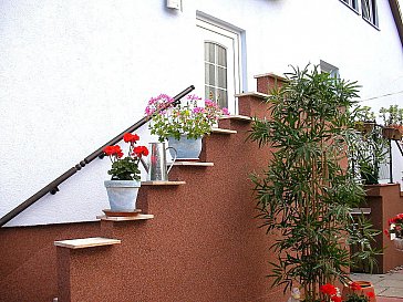 Ferienwohnung in Ostseebad Boltenhagen - Treppe