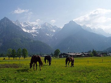 Ferienwohnung in St. Ulrich am Pillersee - Abendstimmung im Sommer