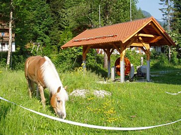 Ferienwohnung in St. Ulrich am Pillersee - Wasserrad hinter dem Haus