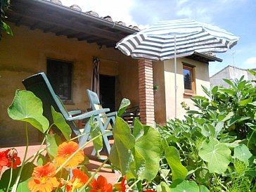 Ferienhaus in Terricciola-Casanova - Die Terrasse