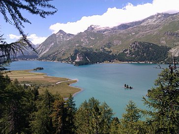 Ferienwohnung in Sils-Maria - Blick auf den Silsersee