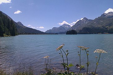 Ferienwohnung in Sils-Maria - Silsersee