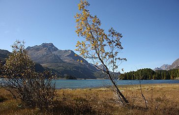 Ferienwohnung in Sils-Maria - Silsersee