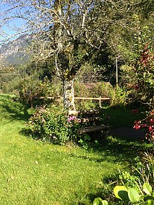 Ferienhaus in Iseltwald - Hinsetzen und die Aussicht geniessen....