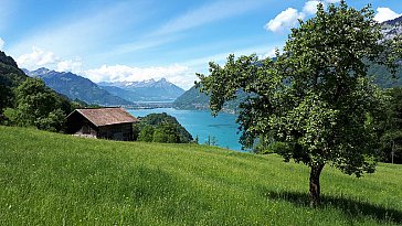 Ferienhaus in Iseltwald - Aussicht