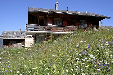 Ferienwohnung in Gspon - Chalet St. Anna