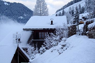 Ferienhaus in Sankt Stephan - Chalet Zelgbach in Sankt Stephan