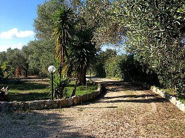 Ferienhaus in Ugento-Torre San Giovanni - Auffahrt und Garten