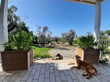 Ferienhaus in Ugento-Torre San Giovanni - Villa Palma