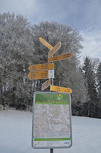 Ferienwohnung in Winikon - Wandergebiet rund um Winikon