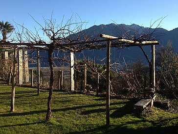 Ferienwohnung in Contra - Traubenpergola