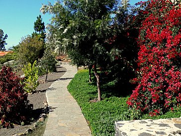 Ferienhaus in Tijarafe - Datail subtropischer Garten