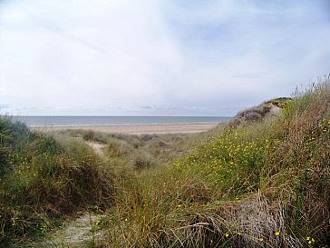 Ferienhaus in Denneville-Plage - Die Dünen