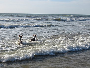 Ferienhaus in Lindbergh Plage - Am Strand 1