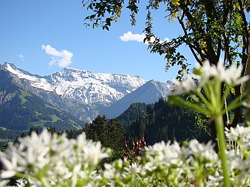 Ferienhaus in Achseten - Aussicht