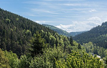 Ferienhaus in Alpirsbach - Blick vom Ferienhaus in den Schwarzwald