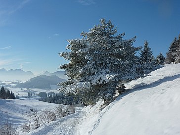 Ferienwohnung in Rieden am Forggensee - Winterwanderweg