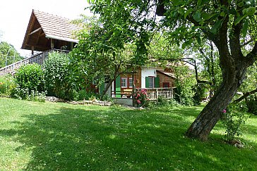 Ferienhaus in Kirchberg an der Raab - Winzerhaus Südseite