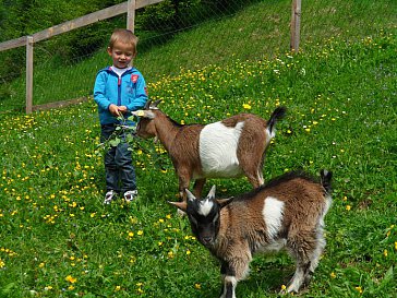 Ferienwohnung in Silbertal - Bild13