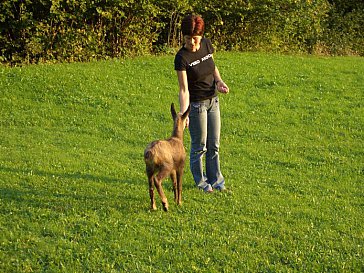 Ferienwohnung in Silbertal - Unsere Tiere am Bauernhof