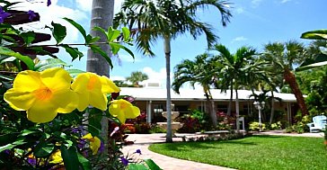Ferienwohnung in Delray Beach - Garden colors