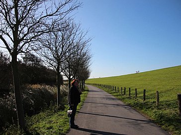 Ferienwohnung in Friedrichskoog-Spitze - Am Deich entlang