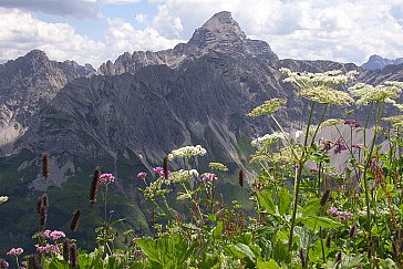 Ferienwohnung in Obermaiselstein - Laufbacher Eck mit Hochvogel