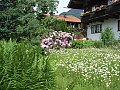 Ferienwohnung in Bayern Obermaiselstein Bild 1