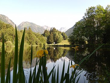 Ferienwohnung in Obermaiselstein - Am Moorweiher