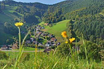 Ferienwohnung in Münstertal - Münstertal