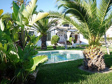 Ferienhaus in Riomar, Riumar - Traumhafter Palmengarten