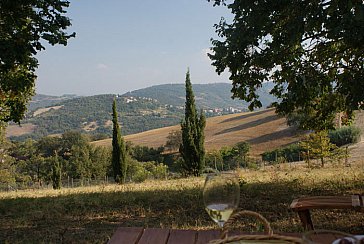 Ferienhaus in Arcevia - Garten Ausblick