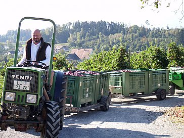 Ferienwohnung in Bodolz - Erntezeit auf der SONNENHALDE