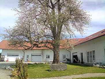 Ferienwohnung in Bodolz - Ferien- und Obsthof Sonnenhalde