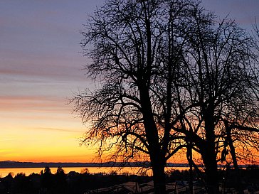 Ferienwohnung in Bodolz - Sonnenuntergangsstimmung