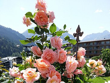 Ferienwohnung in Hirschegg - Gartenausschnitte