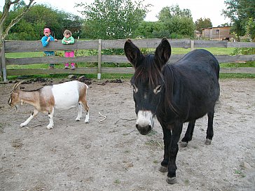 Ferienwohnung in Saal OT Neuendorf - Streichelzoo