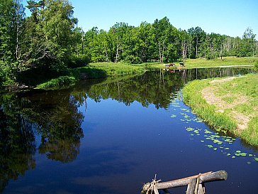 Ferienhaus in Rosenfors - Fluss Emån 1,5 km vom Haus