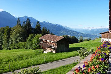 Ferienwohnung in Beatenberg - Aussicht