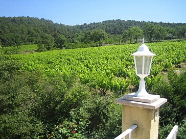 Ferienhaus in Vaison-la-Romaine - Blick von der Südterrasse auf die Weinfelder