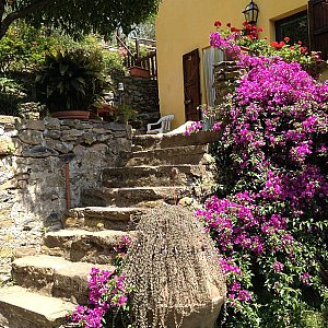 Ferienwohnung in Calci - Treppe vom Garten zum Eingang