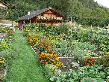 Ferienwohnung in Penk - Garten und Ferienhaus