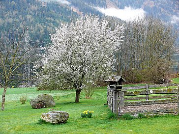 Ferienwohnung in Penk - Frühling