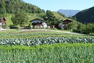 Ferienwohnung in Vahrn - Punterhof